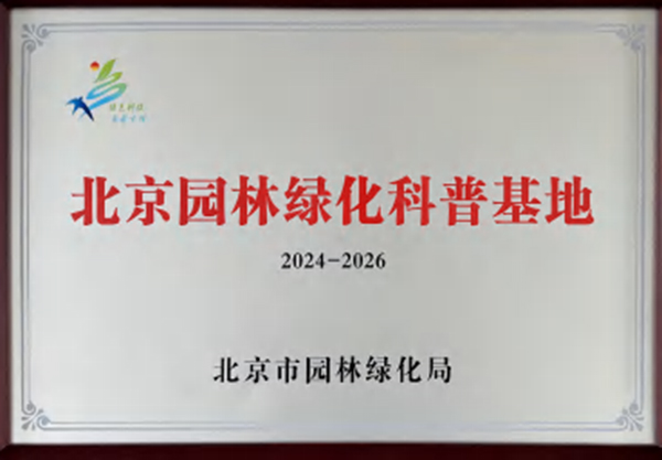南宫密林谷