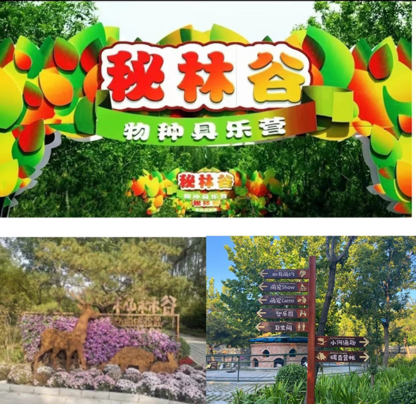 南宫农耕体验园