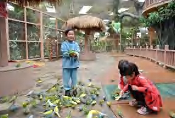 五洲植物园