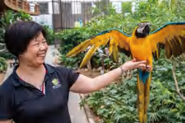 五洲植物园