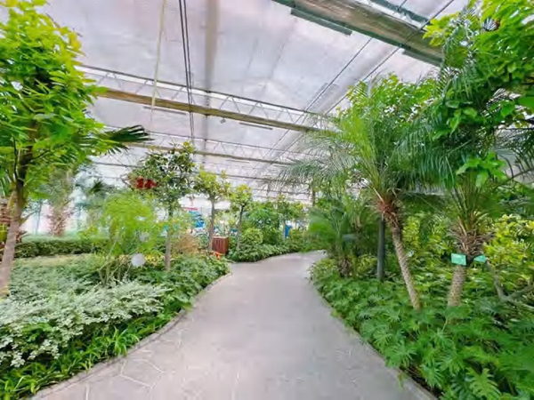 五洲植物园