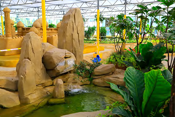 五洲植物园