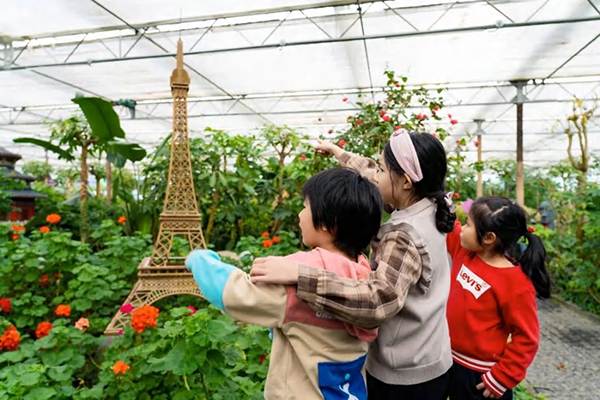五洲植物园