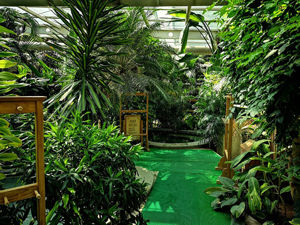 南宫五洲植物园鹦鹉园